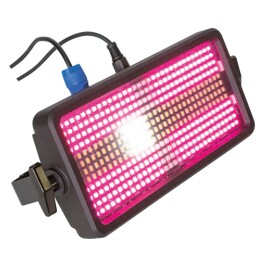 DMX-Lichteffekt IBIZA FLASH-COLOR-STROBE 384 LED RGB+W,110-240V 320x160x75mm