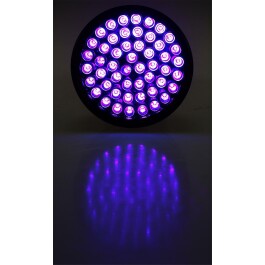 LED-Taschenlampe mit 51 UV LEDs Schwarzlicht ØxL 55x145mm